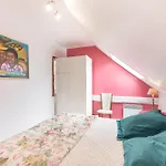 Cosy Vallee D'aspe * Accous