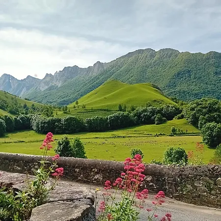 Cosy Vallee D'aspe *